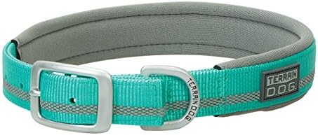 Terrain D.O.G. Reflective Neoprene Lined Dog Collar, 23" (21 - 24 in., 1 in. width), Mint