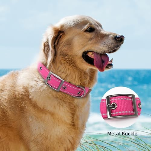 Personalized Dog Collar with UV-Printed Name and Phone Number Custom Adjustable Reflective Nylon Collar for Large Dogs (Metal Buckle)