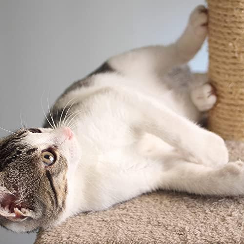 Cat Scratching Post - 3 Scratcher Posts with Carpeted Scratch Pad Base and Perch - Furniture Scratching Deterrent for Indoor Cats by PETMAKER (Gray)