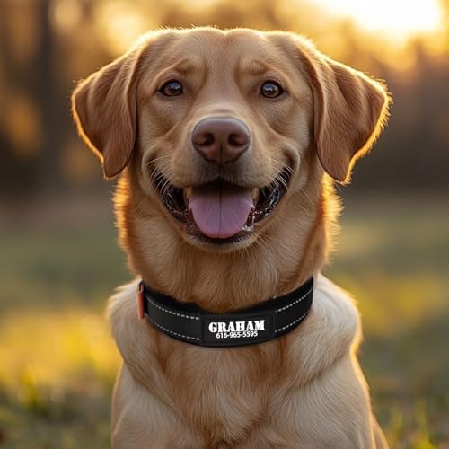 Personalized Dog Collar with UV-Printed Name and Phone Number Custom Adjustable Reflective Nylon Collar for Large Dogs (Metal Buckle)