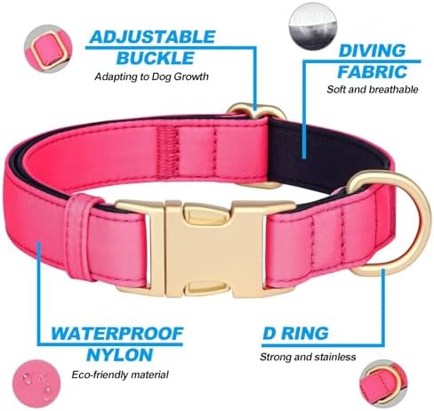 Didog Soft Padded Dog Collar for Small Dogs, Neon Pink, S Neck 10-15"