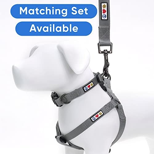 Pawtitas Solid Color Grey Puppy or Dog Collar, Medium