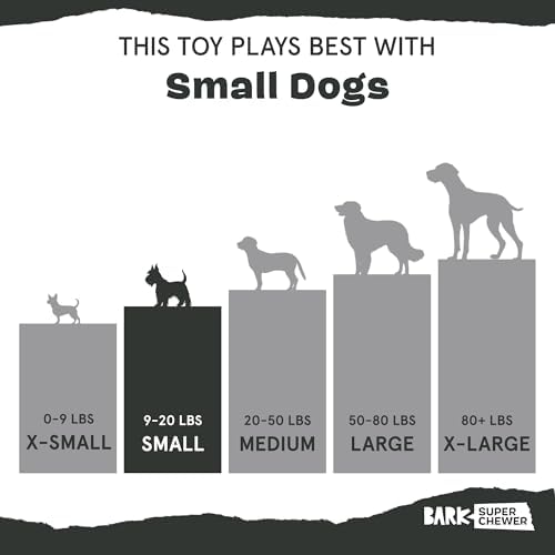 BarkBox Bear Hugger Dog Toy - 2-in-1 - Toy for Small Dogs