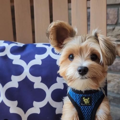 EcoBark Step in Dog Harness, Reflective Mesh Vest, Royal Blue Sport, Large