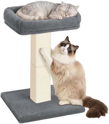 Cat Scratching Post with Plush Perch for Indoor Cats, 32 Inch, Grey
