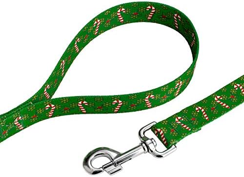 Country Brook Design - Candy Cane Christmas Everyday Dog Leash - Christmas Collection Featuring Festive Designs (4 Foot, 5/8 Inch Wide)