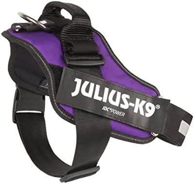 Julius-K9 IDC Powerharness, Size: L/1, Dark Purple
