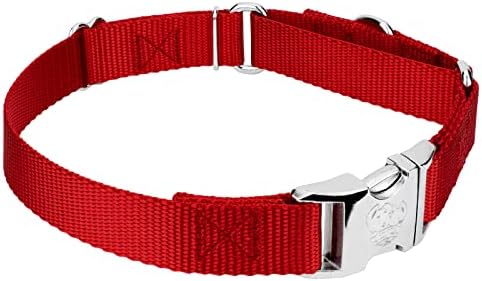 Country Brook Petz - Martingale Dog Collar - Heavy Duty Nylon Adjustable Martingale Dog Collar with Metal Buckle for Small Medium Large Breeds 30+ Color Options (1 Inch, Extra Large, Red)