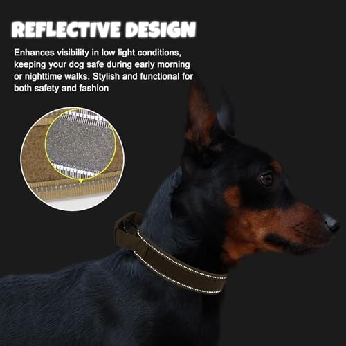 Tactical Dog Collar with Name Patches, Olive Green: XL
