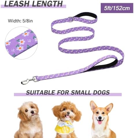 Hikiko 5FT Dog Leash Padded Double Handle with Designed Pattern