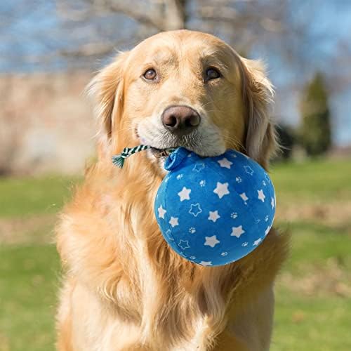 PrimePets Plush Balloon Crinkle Dog Toy for Medium Large Small Dogs