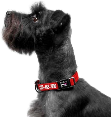 Dogline Red Customizable Personalized Nylon Collar (W: 3/4" L: 13"-20")
