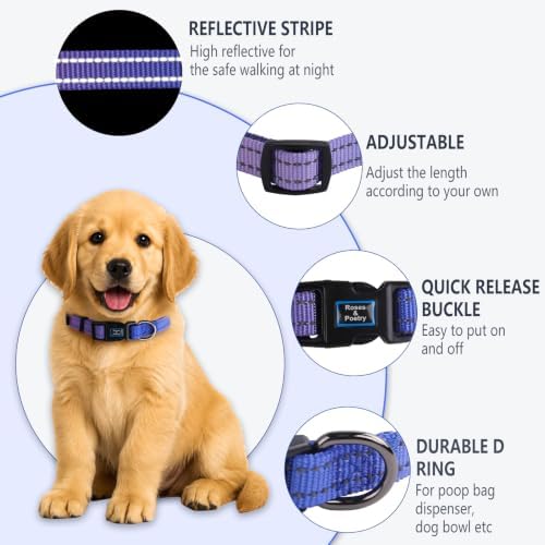Roses&Poetry Small Dog Collar and Leash Set, Puppy Reflective Leashes with Collars, Adjustable Durable Matching Collar Leash for Small Dogs Girl (BluePurple-S)