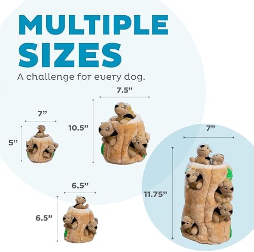 Outward Hound Hide-A-Squirrel Dog Toy – Interactive 2‑in‑1 Plush Puzzle with 6 Squeaky Removable Squirrels, X Large (Pack of 8)
