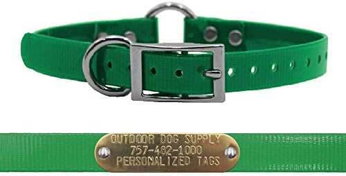 Lightweight Waterproof D & Center Ring Dog Collar w Name Tag, Dark Green
