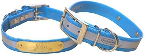 Reflective Dayglo Dog Collar Free Engraved Brass ID tag USA (Aqua 19”)