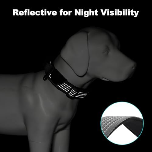 Plutus Pet Tactical Dog Collar with Pocket for AirTag, Gray, L