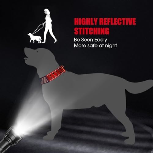 Heavy Duty Dog Collar for Medium Large Dogs,Red,Large