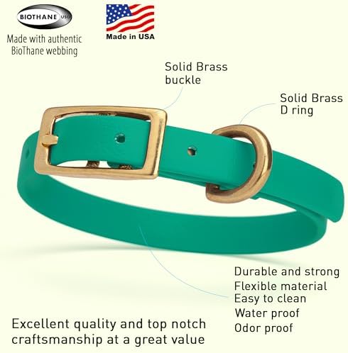 Viper Biothane Heavy Duty Waterproof Dog Collar Strong Coated Nylon Webbing w/Solid Brass Hardware Odor-Proof Easy to Clean High Performance Fits Small Medium or Large Dogs, Teal