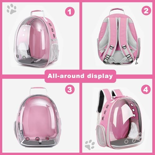 Large Cat & Dog Backpack Carriers - Airline Approved, Small Pet Carrier, Cat & Dog Travel Bag