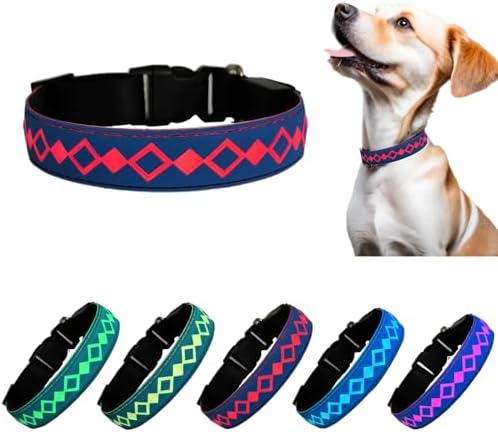Personalized Flashing Dog Collar with Laser Engraved ID Tag