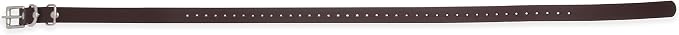 Educator Biothane Dog Collar, Waterproof, Odorproof, Metal Buckle and D Ring, Adjustable for Custom Fit, Cool and Comfortable, for Small, Medium, or Large Dogs, 3/4-Inch, Black