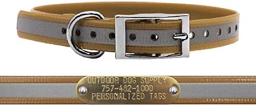 Reflective Waterproof D-Ring Dog Collar w Custom Name Tag 3/4x15, Tan