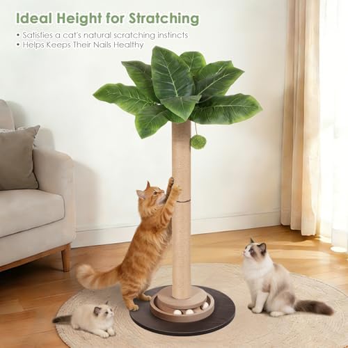 41.5" Tall Cat Scratching Post, Canna Leaf Cat Scratcher with Sisal Rope & Interactive Toys for Indoor Cats