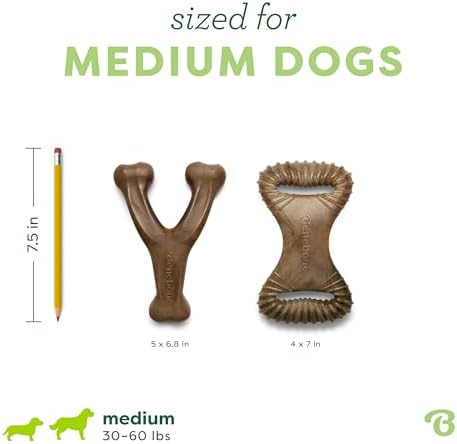 Benebone 2-pack Wishbone/Dental Durable Dog Chew Toys, Real Bacon, Medium