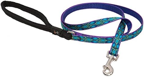 LupinePet Originals 1/2" Rain Song 4-foot Padded Handle Leash for Small Pets