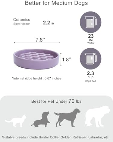 Ceramic Slow Feeder Dog Bowl, Purple, Medium