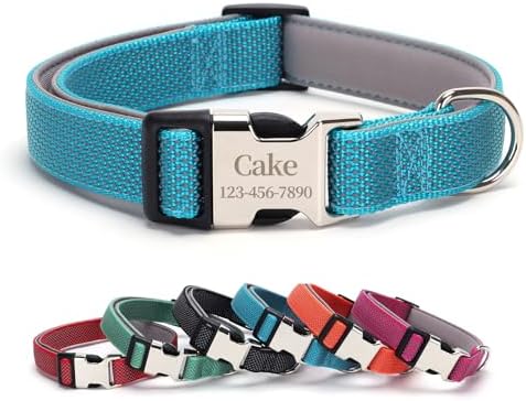 Personalized Dog Collars with Name and Phone