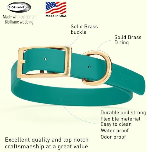 Viper Biothane Heavy Duty Waterproof Dog Collar Strong Coated Nylon Webbing w/Solid Brass Hardware Odor-Proof Easy to Clean High Performance Fits Small Medium or Large Dogs, Blue Aqua