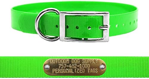 Heavy Duty Waterproof D-Ring Dog Collar w Custom Name Tag, Lime Green 21"