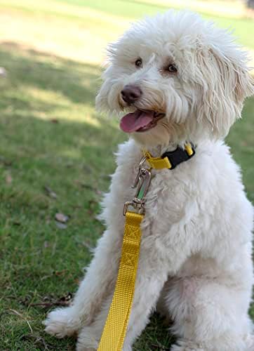 Martingale Dog Collar - Heavy Duty Nylon Adjustable Martingale Dog Collar with Plastic Buckle for Small Medium Large Breeds - 30+ Colors (3/4 Inch, Small, Gold)