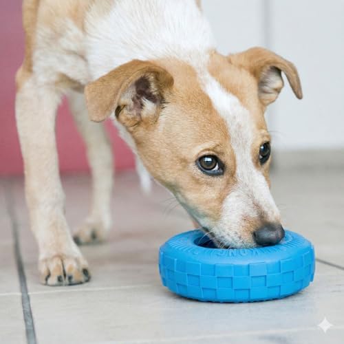 KONG Puppy Tires, Natural Rubber Teething Toy, Medium/Large Puppies, Blue