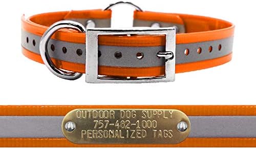 Reflective Waterproof D & Center Ring Dog Collar w Custom Name Tag, Orange