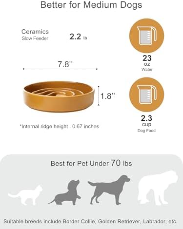 Ceramic Slow Feeder Dog Bowl, Orange, Medium