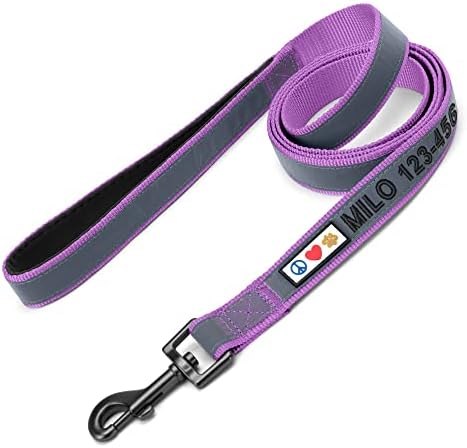 Pawtitas Personalized Orchid Dog Leash 6 ft Custom ID Lead for Dogs & Puppies Reflective Comfortable Padded Handle Embroidered Name & Phone Number