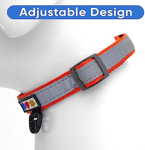Pawtitas Personalized Dog Collar Reflective Dog Collar Padded Dog Collar with Name Phone Number Puppy Collar Adjustable Customized Collar for Small Dogs Breeds | Customized Orange Small Dog Collar