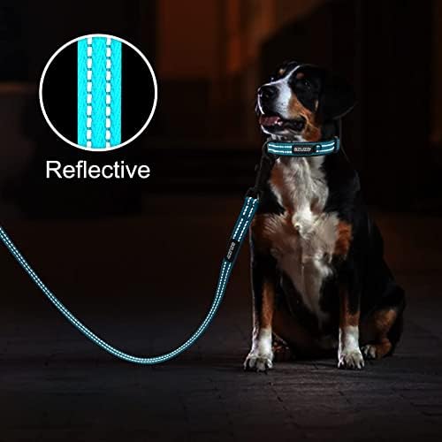 azuza Reflective Dog Collar, Neoprene Padded Small Dog Collar, S