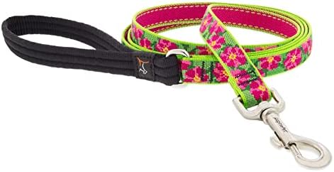 Lupine Dog Leash 4-Foot by 3/4" Wide PetuniasÊ