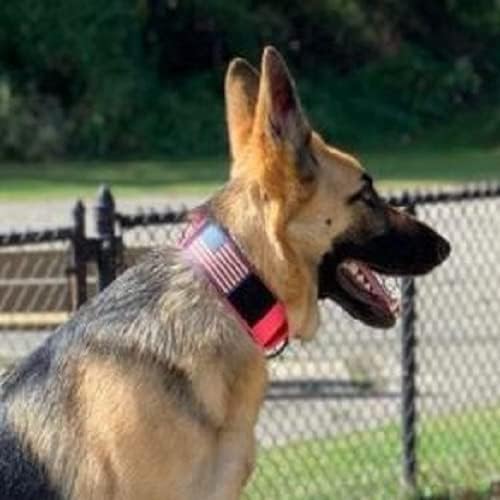 Dog Collars for Large Dogs - 2 inch Wide Dog Collar for Large Dogs Personalized Dog Collar with Metal Buckle American Flag Patch Name Plate Padded Dog Collar for Extra Large Dogs Male Female K9