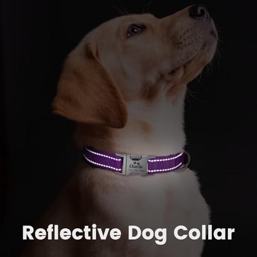 Silent Dog Collar Personalized with Name Phone Number Laser Engraved