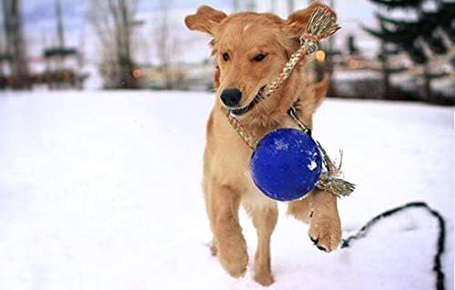 Jolly Pets Romp-N-Roll Rope & Ball Dog Toy, 6 in Medium, Blue