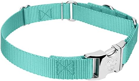 Country Brook Petz - Martingale Dog Collar - Heavy Duty Nylon Adjustable Martingale Dog Collar with Metal Buckle for Small Medium Large Breeds 30+ Color Options (5/8 Inch, Extra Small, Light Cyan)