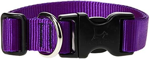 LupinePet Basics 1" Purple 16-28" Adjustable Collar for Large Dogs