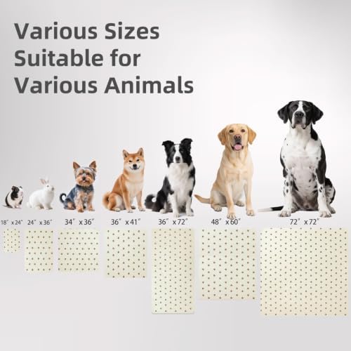 PUPTECK Washable Pee Pads for Dogs, Reusable Puppy Potty Training Mat