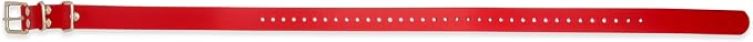 Educator 1-Inch Dog Training Collar Strap – ONLY Fits FE-580, ET-800 & UL-1200 Receivers – NOT Compatible with Mini Educator (ET-300/ET-400) – Durable Biothane Collar, Red