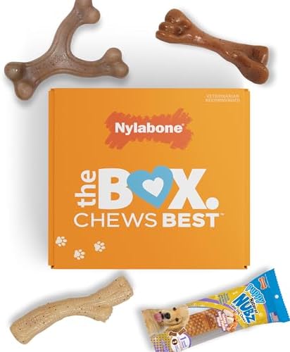 Nylabone Puppy Gift Box, Strong Chew Toys & Treat, Small, 4 Count